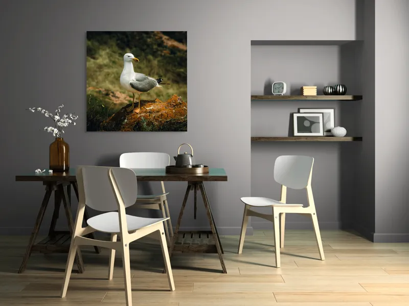 Tablou Canvas, "Pescărușul pe stânca ruginită", Pescăruș, Stâncă, Verdeață, Serenitate, Natură, 100 x 100 cm – poza 6