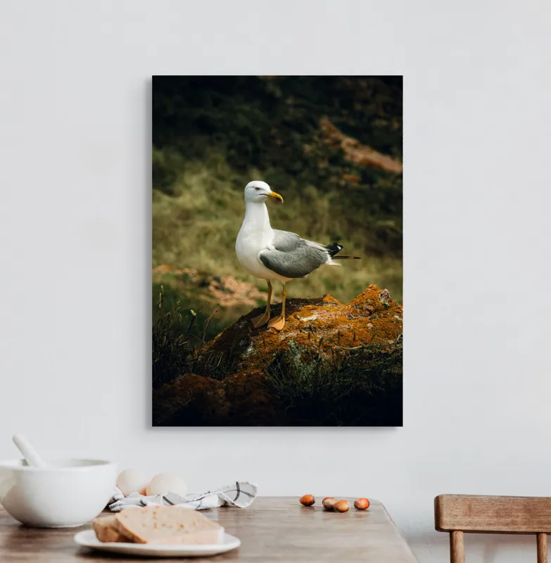 Tablou Canvas, "Pescărușul pe stânca ruginită", Pescăruș, Stâncă, Verdeață, Serenitate, Natură, 50 x 70 cm – poza 3