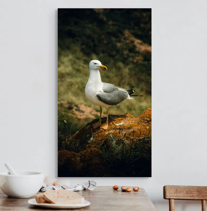 Tablou Canvas, "Pescărușul pe stânca ruginită", Pescăruș, Stâncă, Verdeață, Serenitate, Natură, 50 x 90 cm – poza 3