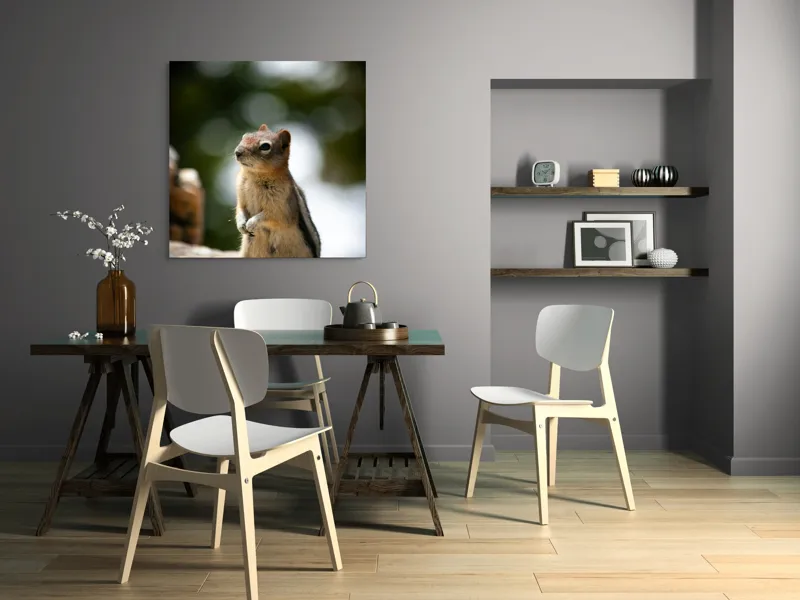 Tablou Canvas, "Veverița atentă pe piatră luminoasă", Nu pot identifica acest animal specific, dar pare să fie un rozător, ca un veveriță sau un chipmunk. Ai vrea să îți ofer mai multe informații despre rozătoare?, 100 x 100 cm – poza 6