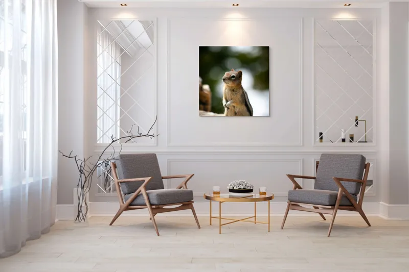 Tablou Canvas, "Veverița atentă pe piatră luminoasă", Nu pot identifica acest animal specific, dar pare să fie un rozător, ca un veveriță sau un chipmunk. Ai vrea să îți ofer mai multe informații despre rozătoare?, 100 x 100 cm – poza 7