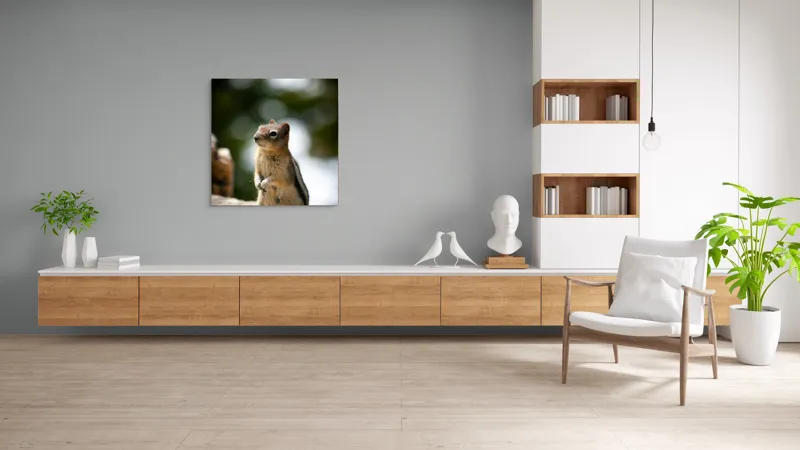 Tablou Canvas, "Veverița atentă pe piatră luminoasă", Nu pot identifica acest animal specific, dar pare să fie un rozător, ca un veveriță sau un chipmunk. Ai vrea să îți ofer mai multe informații despre rozătoare?, 100 x 100 cm – poza 8