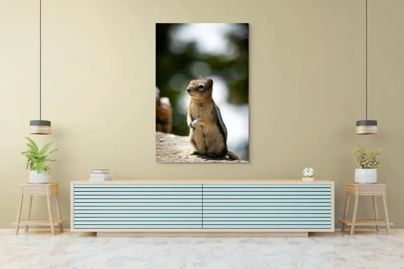 Tablou Canvas, "Veverița atentă pe piatră luminoasă", Nu pot identifica acest animal specific, dar pare să fie un rozător, ca un veveriță sau un chipmunk. Ai vrea să îți ofer mai multe informații despre rozătoare?, 100 x 150 cm – poza 4