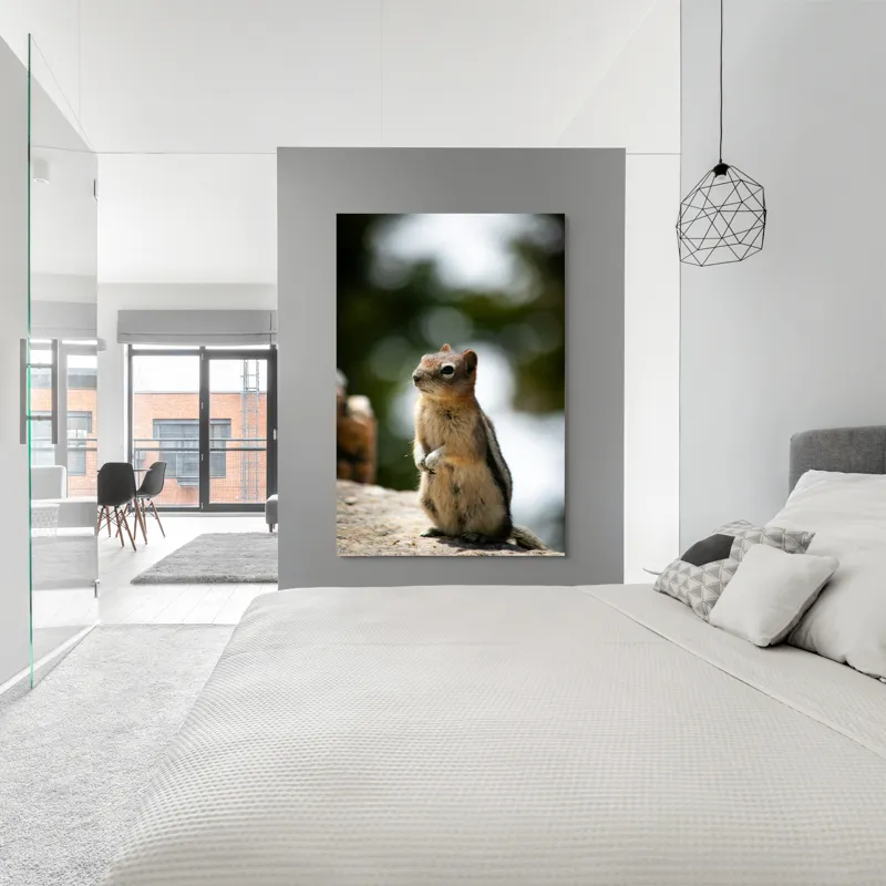 Tablou Canvas, "Veverița atentă pe piatră luminoasă", Nu pot identifica acest animal specific, dar pare să fie un rozător, ca un veveriță sau un chipmunk. Ai vrea să îți ofer mai multe informații despre rozătoare?, 100 x 150 cm – poza 5