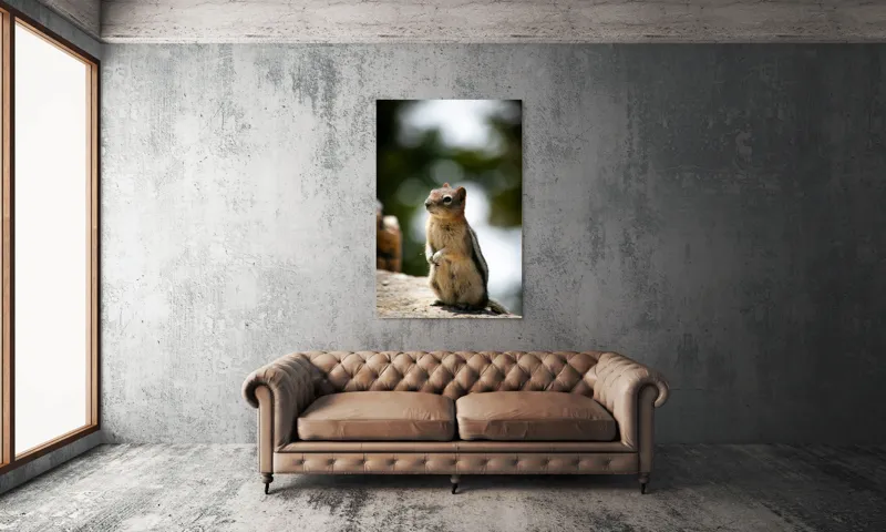 Tablou Canvas, "Veverița atentă pe piatră luminoasă", Nu pot identifica acest animal specific, dar pare să fie un rozător, ca un veveriță sau un chipmunk. Ai vrea să îți ofer mai multe informații despre rozătoare?, 100 x 150 cm – poza 6