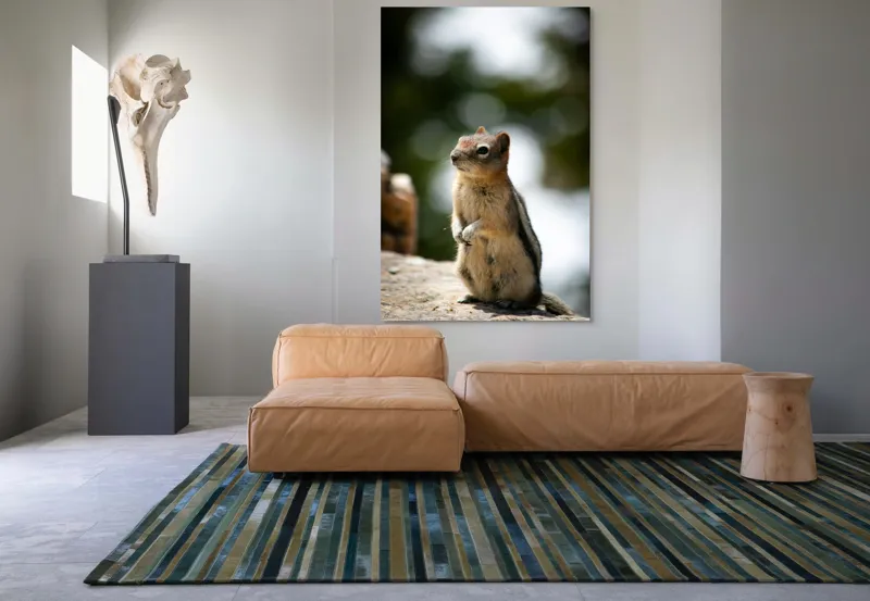 Tablou Canvas, "Veverița atentă pe piatră luminoasă", Nu pot identifica acest animal specific, dar pare să fie un rozător, ca un veveriță sau un chipmunk. Ai vrea să îți ofer mai multe informații despre rozătoare?, 100 x 150 cm – poza 7