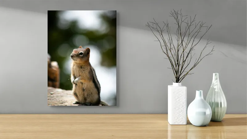 Tablou Canvas, "Veverița atentă pe piatră luminoasă", Nu pot identifica acest animal specific, dar pare să fie un rozător, ca un veveriță sau un chipmunk. Ai vrea să îți ofer mai multe informații despre rozătoare?, 39 x 54 cm – poza 4