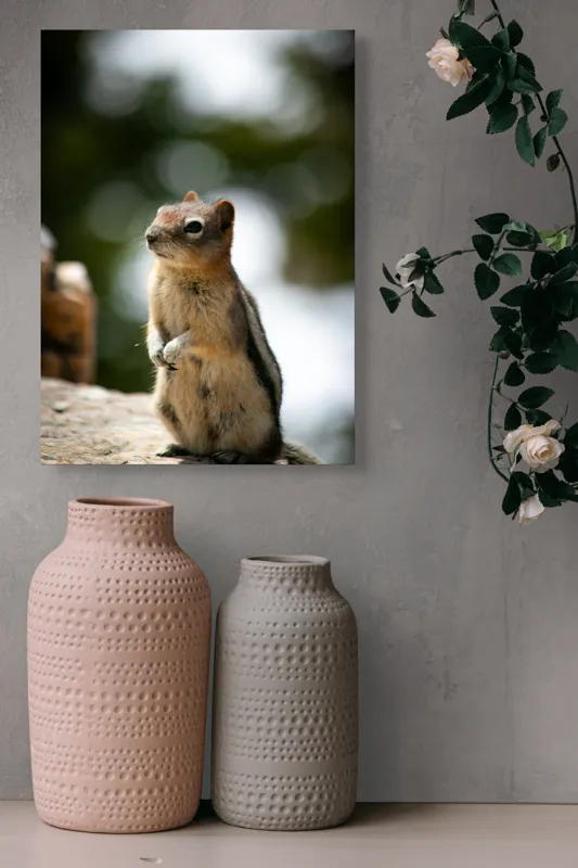 Tablou Canvas, "Veverița atentă pe piatră luminoasă", Nu pot identifica acest animal specific, dar pare să fie un rozător, ca un veveriță sau un chipmunk. Ai vrea să îți ofer mai multe informații despre rozătoare?, 39 x 54 cm – poza 6