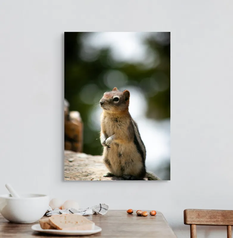 Tablou Canvas, "Veverița atentă pe piatră luminoasă", Nu pot identifica acest animal specific, dar pare să fie un rozător, ca un veveriță sau un chipmunk. Ai vrea să îți ofer mai multe informații despre rozătoare?, 50 x 70 cm – poza 3