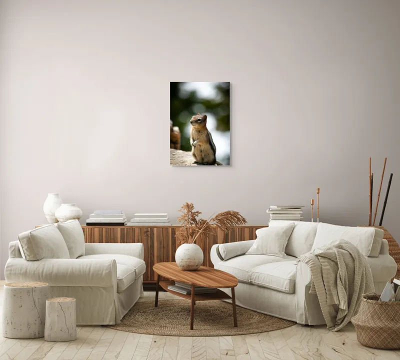 Tablou Canvas, "Veverița atentă pe piatră luminoasă", Nu pot identifica acest animal specific, dar pare să fie un rozător, ca un veveriță sau un chipmunk. Ai vrea să îți ofer mai multe informații despre rozătoare?, 50 x 70 cm – poza 4
