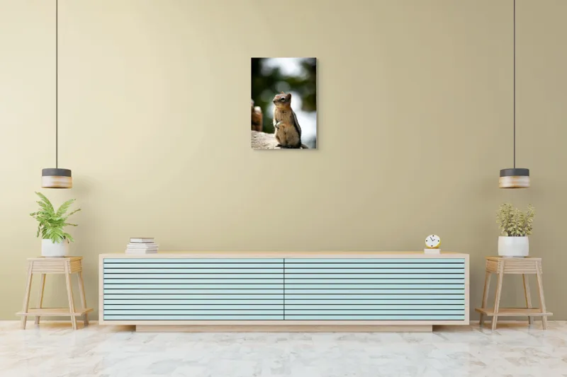 Tablou Canvas, "Veverița atentă pe piatră luminoasă", Nu pot identifica acest animal specific, dar pare să fie un rozător, ca un veveriță sau un chipmunk. Ai vrea să îți ofer mai multe informații despre rozătoare?, 50 x 70 cm – poza 6