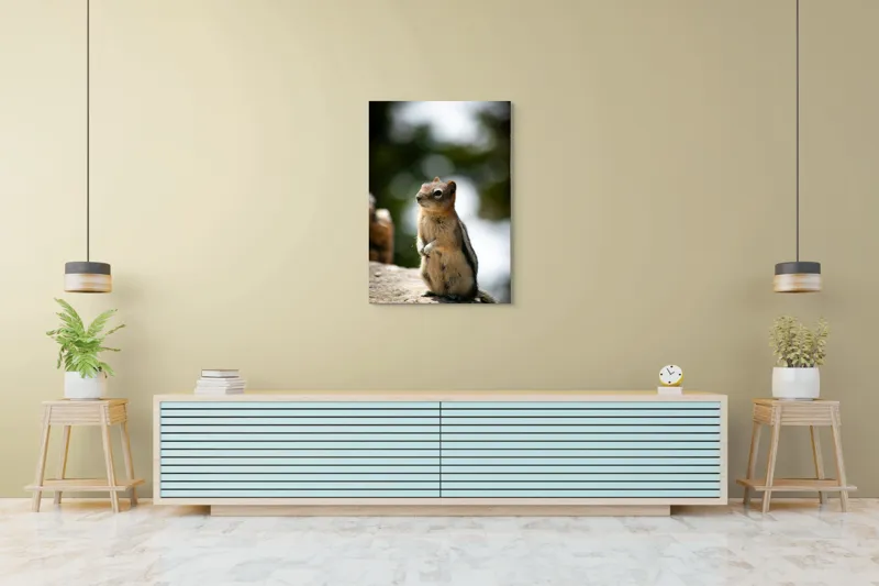 Tablou Canvas, "Veverița atentă pe piatră luminoasă", 70 x 100 cm – poza 5
