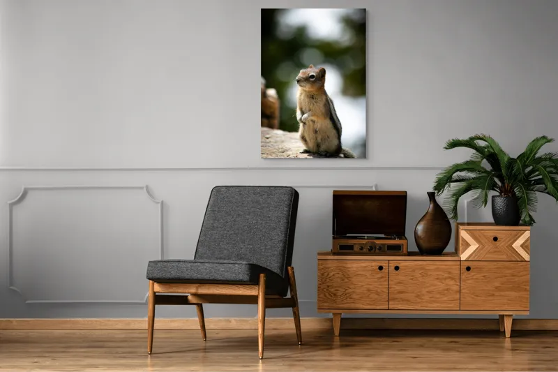 Tablou Canvas, "Veverița atentă pe piatră luminoasă", 70 x 100 cm – poza 6