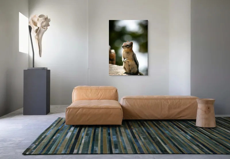 Tablou Canvas, "Veverița atentă pe piatră luminoasă", 70 x 100 cm – poza 7