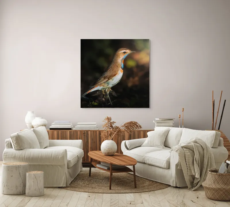 Tablou Canvas, "Privighetoarea în clar de lumină", Pasăre, Penaj, Albastru, Pădure, Lumină, Contrast, Frumusețe, Sălbăticie, 100 x 100 cm – poza 3
