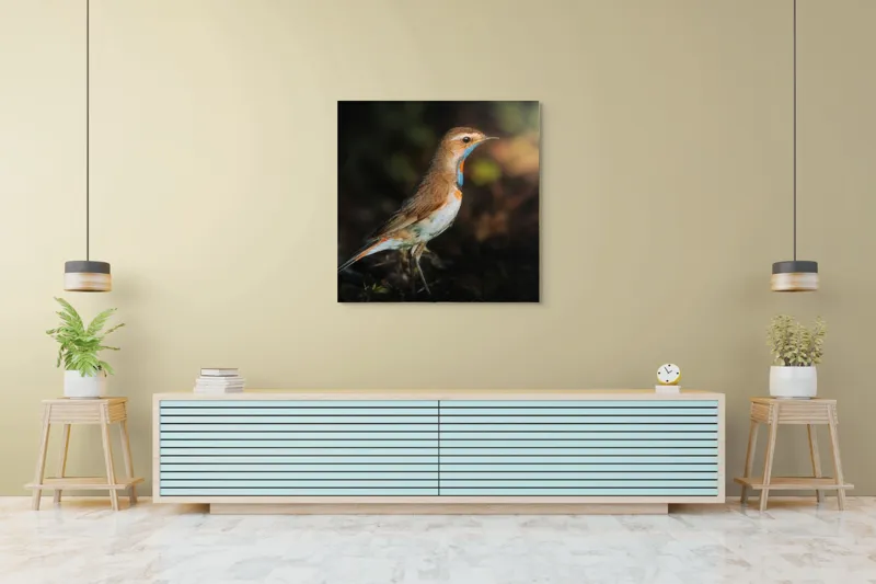 Tablou Canvas, "Privighetoarea în clar de lumină", Pasăre, Penaj, Albastru, Pădure, Lumină, Contrast, Frumusețe, Sălbăticie, 100 x 100 cm – poza 5