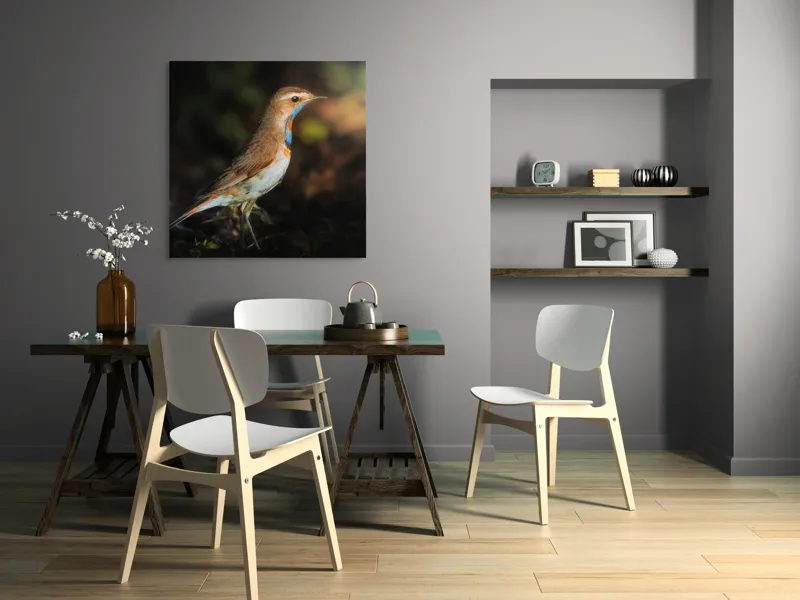 Tablou Canvas, "Privighetoarea în clar de lumină", Pasăre, Penaj, Albastru, Pădure, Lumină, Contrast, Frumusețe, Sălbăticie, 100 x 100 cm – poza 6