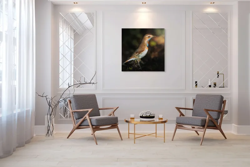 Tablou Canvas, "Privighetoarea în clar de lumină", Pasăre, Penaj, Albastru, Pădure, Lumină, Contrast, Frumusețe, Sălbăticie, 100 x 100 cm – poza 7