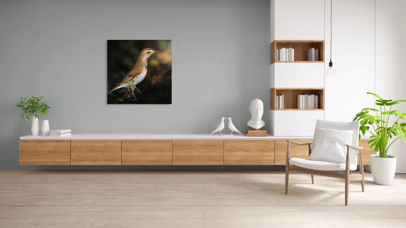 Tablou Canvas, "Privighetoarea în clar de lumină", Pasăre, Penaj, Albastru, Pădure, Lumină, Contrast, Frumusețe, Sălbăticie, 100 x 100 cm – poza 8