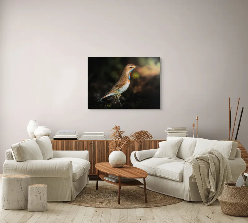 Tablou Canvas, "Privighetoarea în clar de lumină", Pasăre, Penaj, Albastru, Pădure, Lumină, Contrast, Frumusețe, Sălbăticie, 100 x 70 cm – poza 3