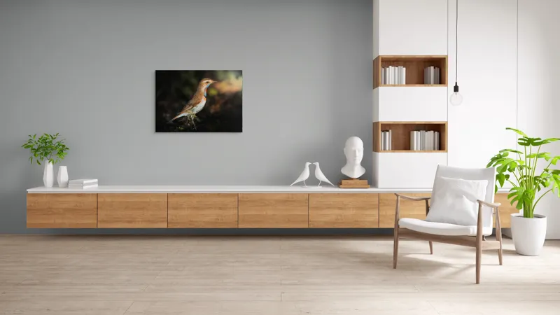 Tablou Canvas, "Privighetoarea în clar de lumină", Pasăre, Penaj, Albastru, Pădure, Lumină, Contrast, Frumusețe, Sălbăticie, 100 x 70 cm – poza 6