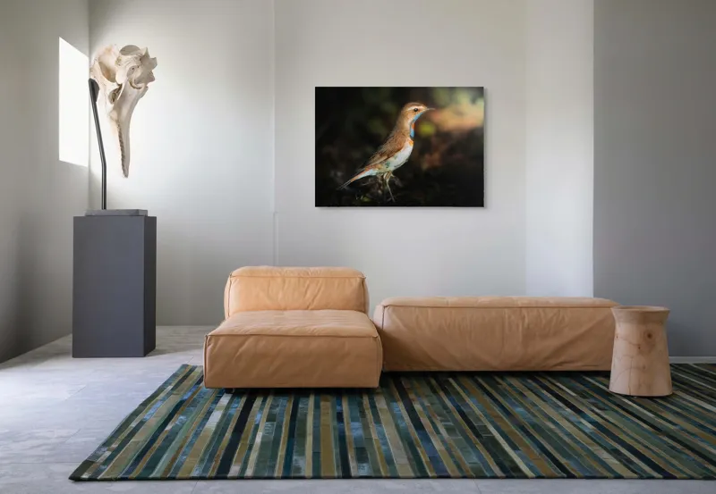 Tablou Canvas, "Privighetoarea în clar de lumină", Pasăre, Penaj, Albastru, Pădure, Lumină, Contrast, Frumusețe, Sălbăticie, 100 x 70 cm – poza 7