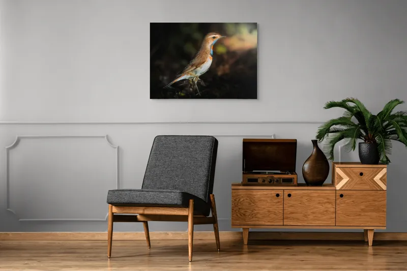 Tablou Canvas, "Privighetoarea în clar de lumină", Pasăre, Penaj, Albastru, Pădure, Lumină, Contrast, Frumusețe, Sălbăticie, 100 x 70 cm – poza 8