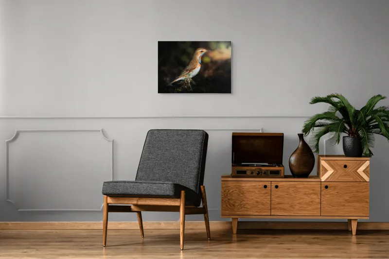 Tablou Canvas, "Privighetoarea în clar de lumină", Pasăre, Penaj, Albastru, Pădure, Lumină, Contrast, Frumusețe, Sălbăticie, 70 x 50 cm – poza 4