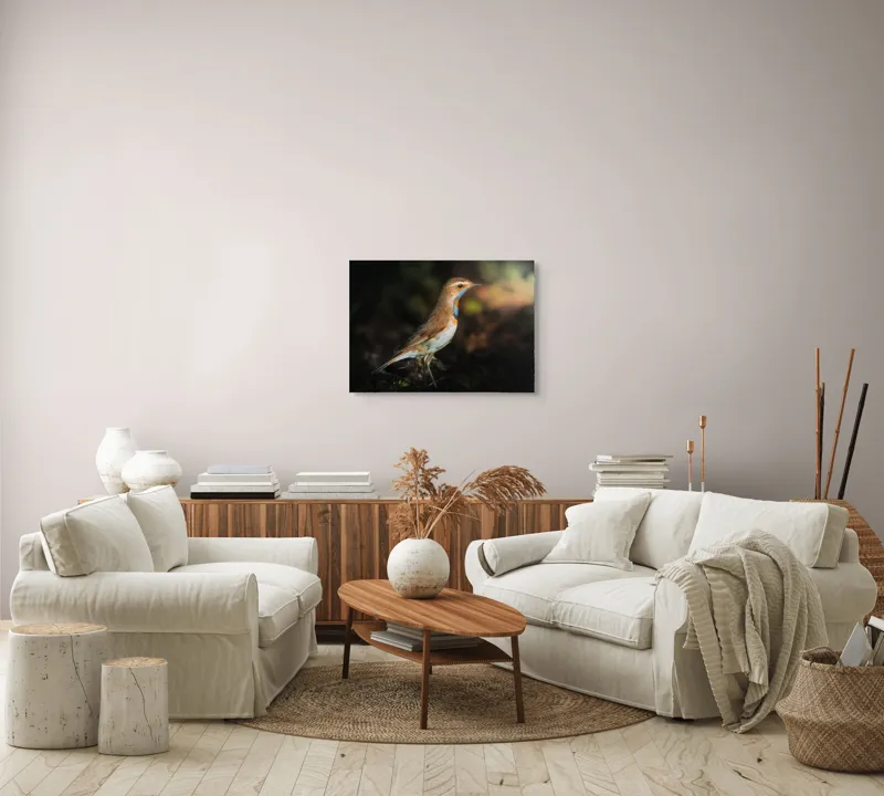 Tablou Canvas, "Privighetoarea în clar de lumină", Pasăre, Penaj, Albastru, Pădure, Lumină, Contrast, Frumusețe, Sălbăticie, 70 x 50 cm – poza 6