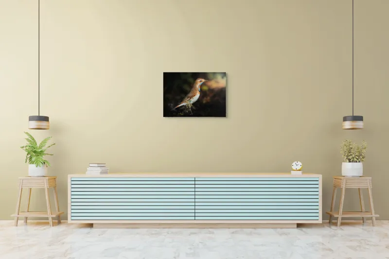 Tablou Canvas, "Privighetoarea în clar de lumină", Pasăre, Penaj, Albastru, Pădure, Lumină, Contrast, Frumusețe, Sălbăticie, 70 x 50 cm – poza 7