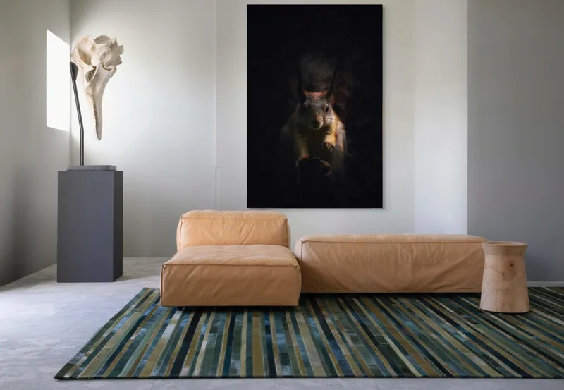 Tablou Canvas, "Veverița în lumina înserării", Squirrel, Darkness, Focus, Shadow, Secretive, 100 x 150 cm – poza 7
