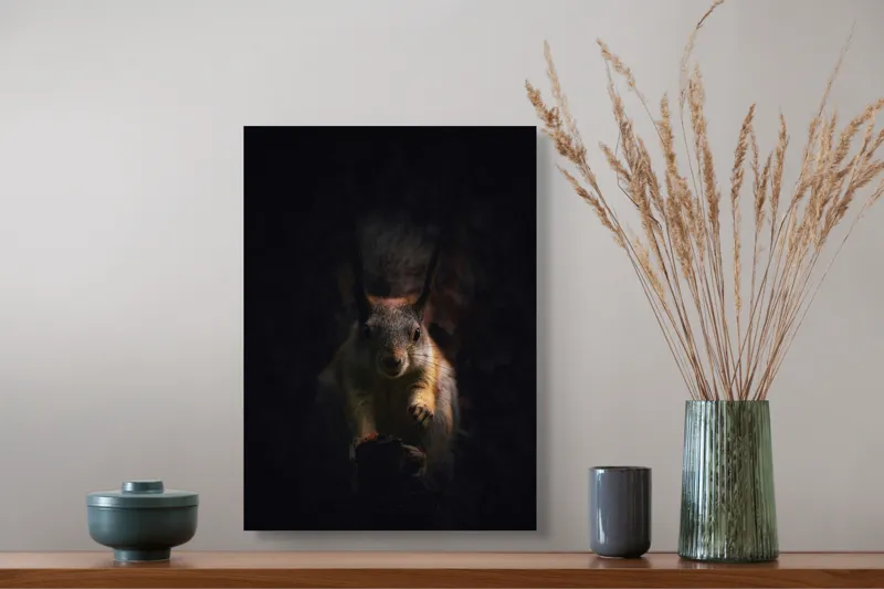 Tablou Canvas, "Veverița în lumina înserării", Squirrel, Darkness, Focus, Shadow, Secretive, 39 x 54 cm – poza 3