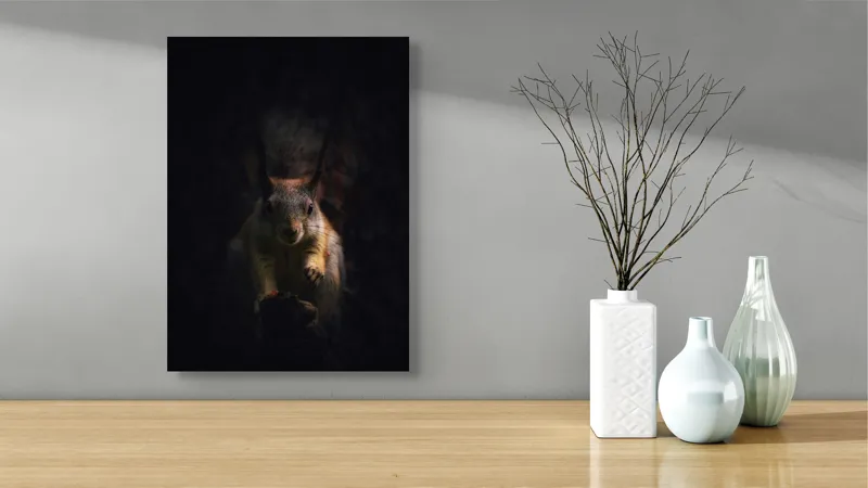 Tablou Canvas, "Veverița în lumina înserării", Squirrel, Darkness, Focus, Shadow, Secretive, 39 x 54 cm – poza 4
