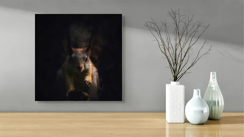 Tablou Canvas, "Veverița în lumina înserării", Squirrel, Darkness, Focus, Shadow, Secretive, 50 x 50 cm – poza 3