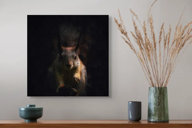 Tablou Canvas, "Veverița în lumina înserării", Squirrel, Darkness, Focus, Shadow, Secretive, 50 x 50 cm – poza 4