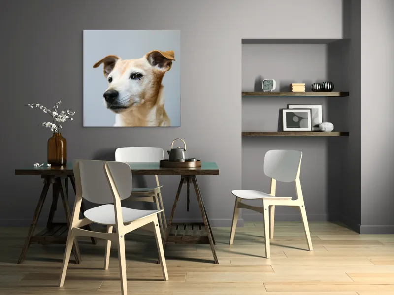 Tablou Canvas, "Câine visător în amurg liniștit", Nu pot spune cine este în imagine., 100 x 100 cm – poza 6