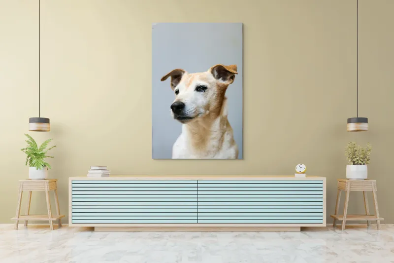 Tablou Canvas, "Câine visător în amurg liniștit", 100 x 150 cm – poza 4