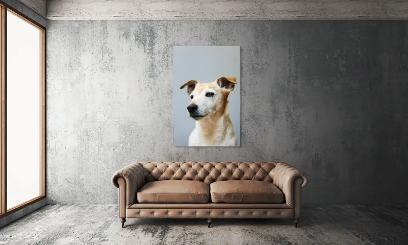 Tablou Canvas, "Câine visător în amurg liniștit", 100 x 150 cm – poza 6