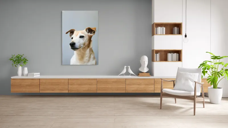 Tablou Canvas, "Câine visător în amurg liniștit", 100 x 150 cm – poza 8