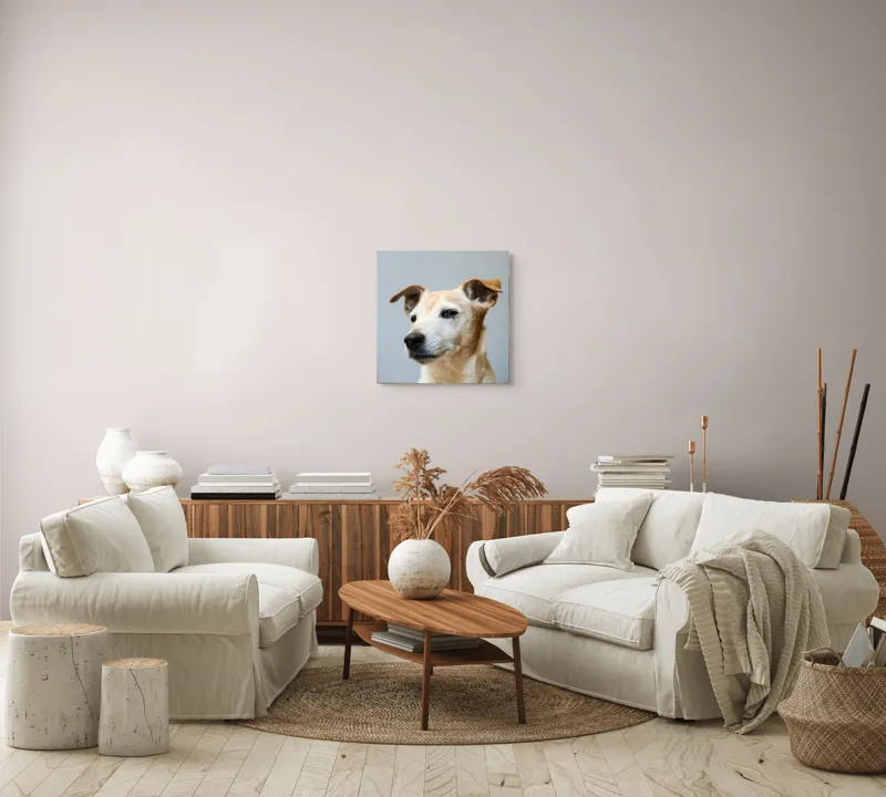 Tablou Canvas, "Câine visător în amurg liniștit", Nu pot spune cine este în imagine., 50 x 50 cm – poza 7
