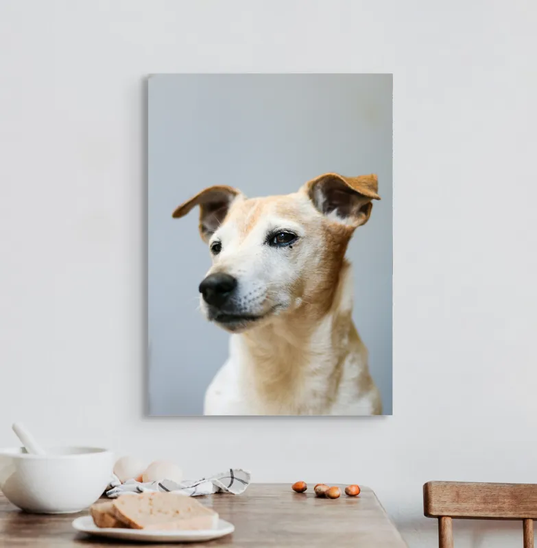 Tablou Canvas, "Câine visător în amurg liniștit", Nu pot spune cine este în imagine., 50 x 70 cm – poza 3
