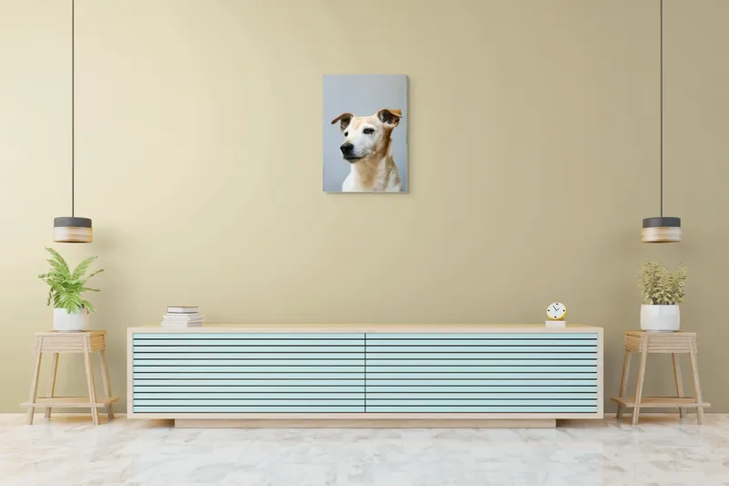 Tablou Canvas, "Câine visător în amurg liniștit", Nu pot spune cine este în imagine., 50 x 70 cm – poza 6