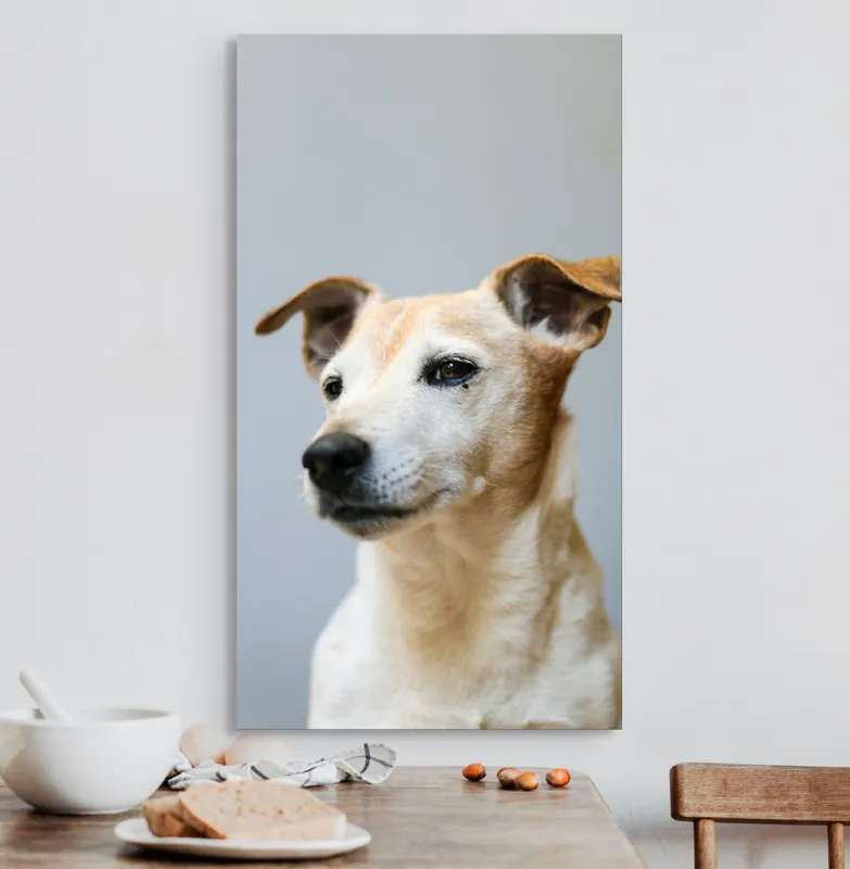Tablou Canvas, "Câine visător în amurg liniștit", Nu pot spune cine este în imagine., 50 x 90 cm – poza 3