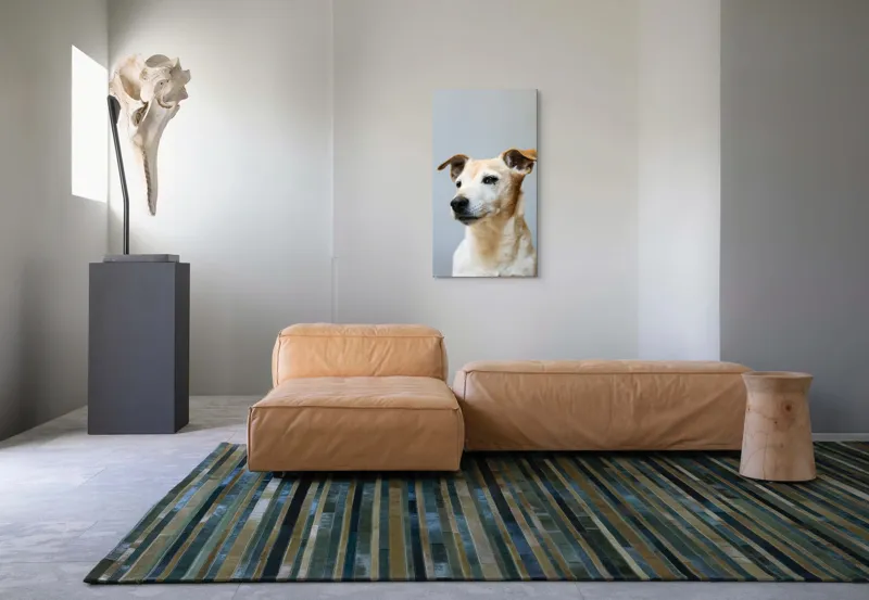 Tablou Canvas, "Câine visător în amurg liniștit", Nu pot spune cine este în imagine., 50 x 90 cm – poza 5