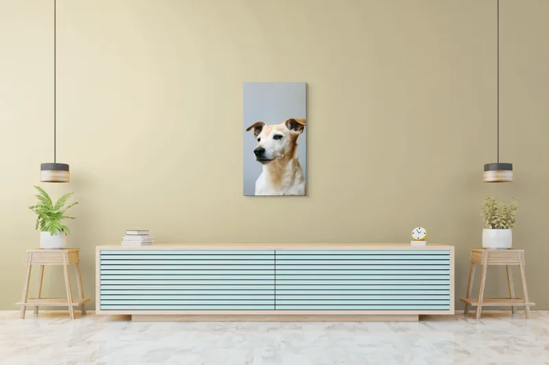 Tablou Canvas, "Câine visător în amurg liniștit", Nu pot spune cine este în imagine., 50 x 90 cm – poza 6