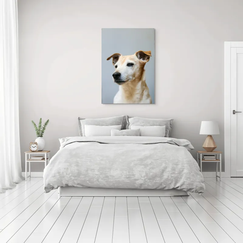 Tablou Canvas, "Câine visător în amurg liniștit", Nu pot spune cine este în imagine., 70 x 100 cm – poza 3