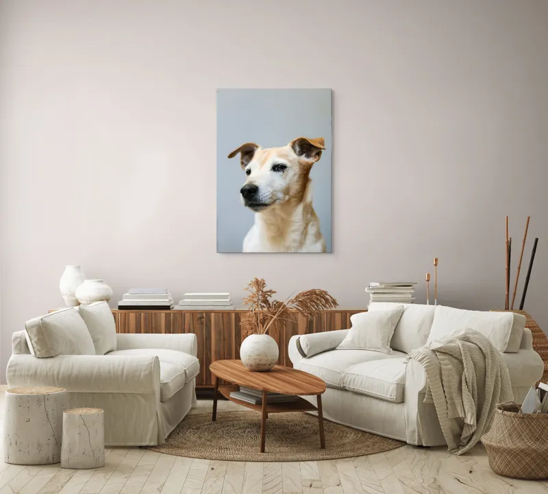 Tablou Canvas, "Câine visător în amurg liniștit", Nu pot spune cine este în imagine., 70 x 100 cm – poza 4