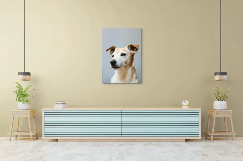 Tablou Canvas, "Câine visător în amurg liniștit", Nu pot spune cine este în imagine., 70 x 100 cm – poza 5