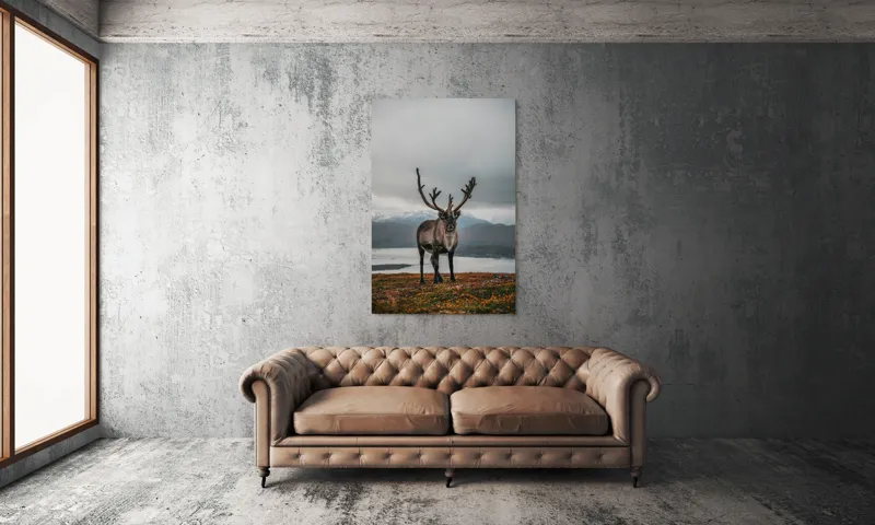 Tablou Canvas, "Rena pe crestele înzăpezite ale Nordului", Majestic, Solitary, Regal, Serene, Wilderness, Antlers, Majestic, Landscape, 100 x 150 cm – poza 6