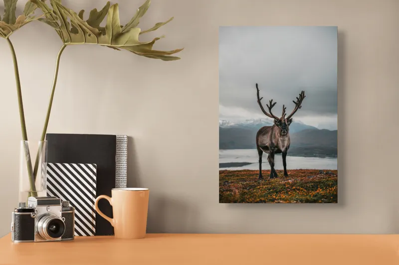 Tablou Canvas, "Rena pe crestele înzăpezite ale Nordului", Majestic, Solitary, Regal, Serene, Wilderness, Antlers, Majestic, Landscape, 26 x 39 cm – poza 3